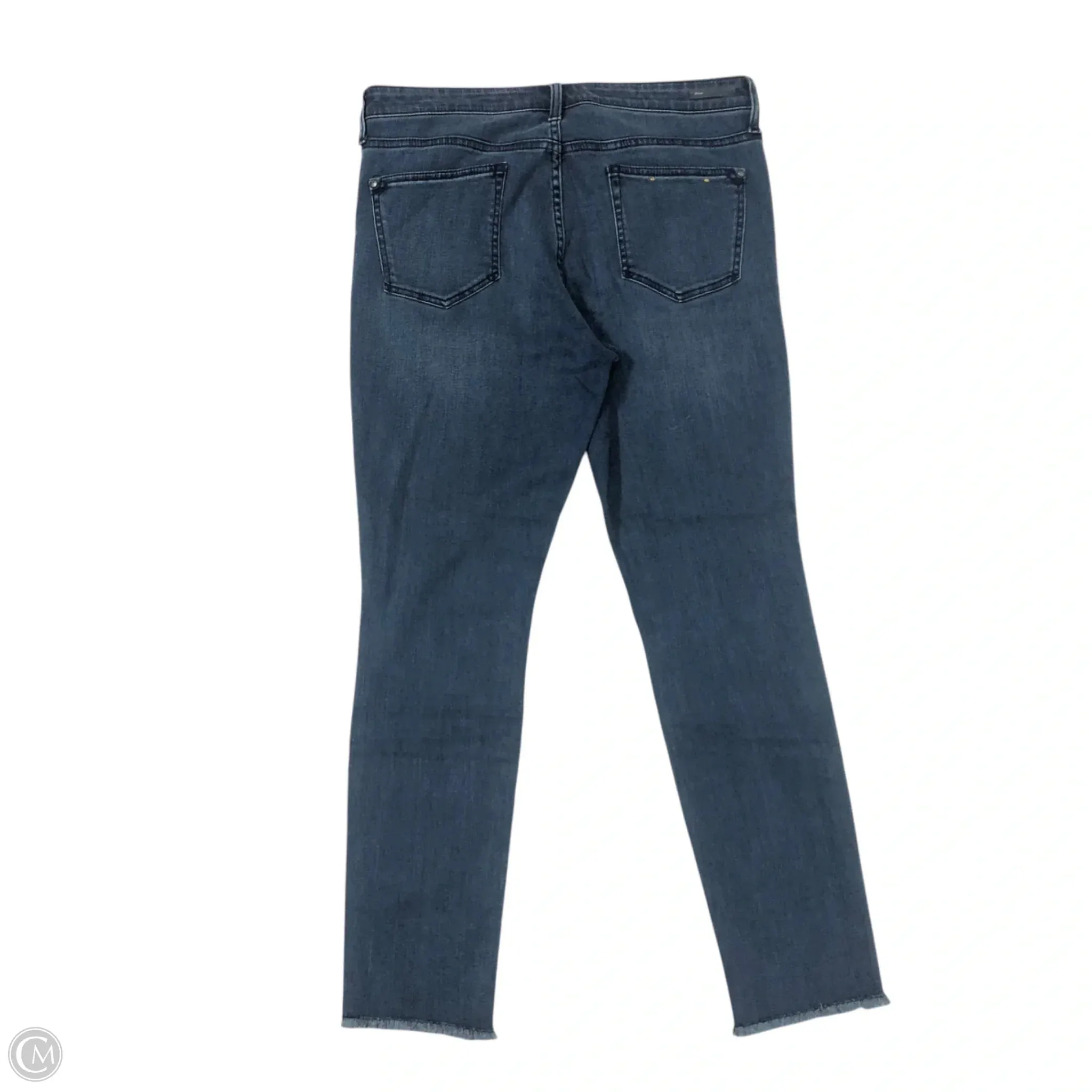 Jeans Skinny By Pilcro In Blue Denim, Size: 14