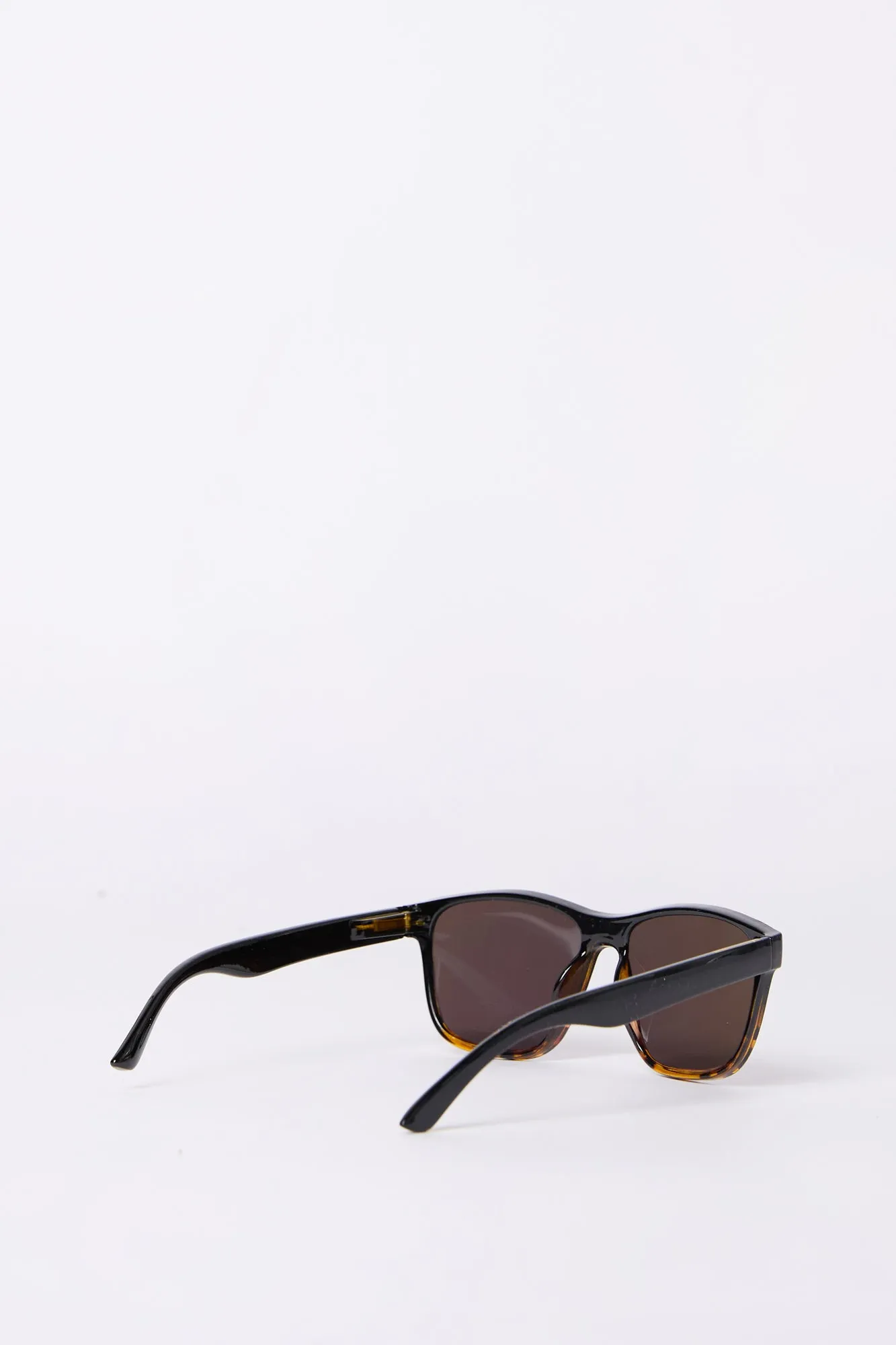 Wayfarer Sunglasses