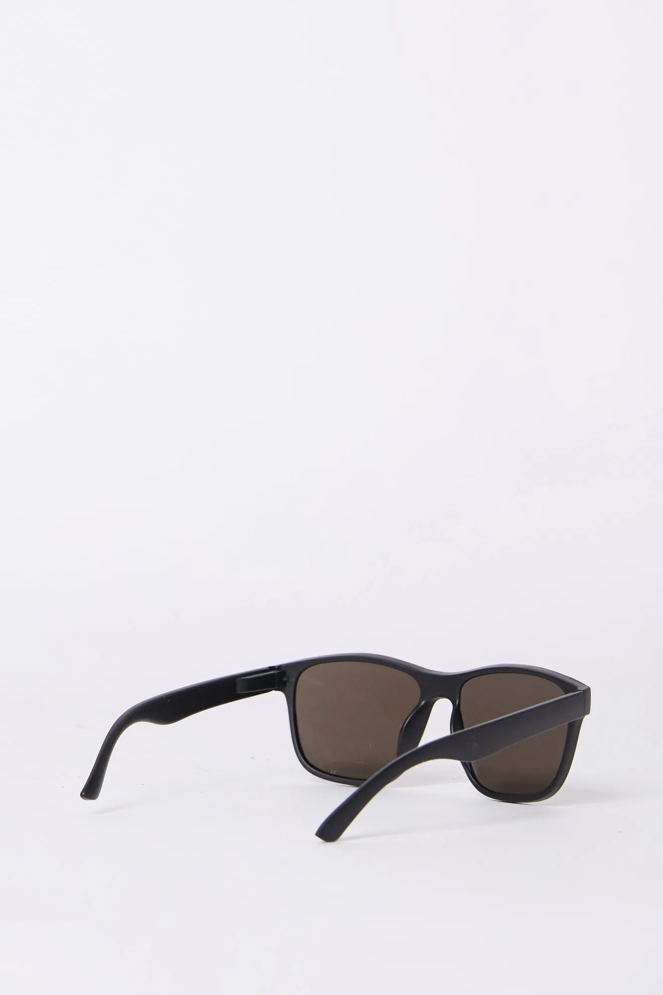 Wayfarer Sunglasses